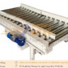 Băng tải con lăn pallet