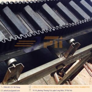 Băng tải cao su tai bèo